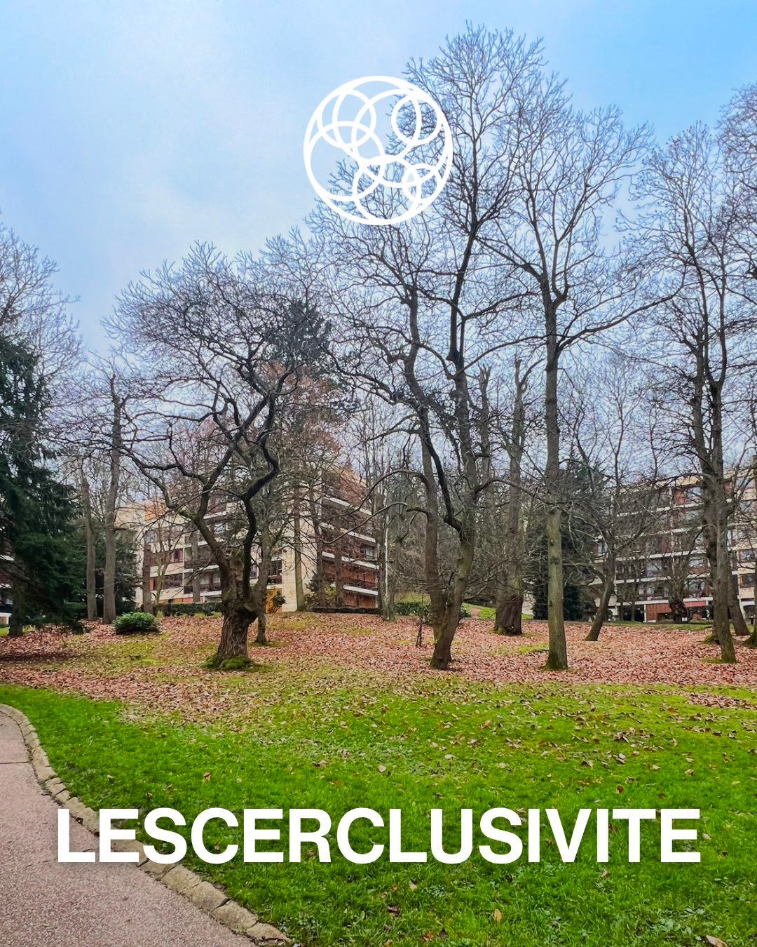 “Au calme absolu”, “lumineux”, “bel appartement” : ces mots qui vendent des rêves